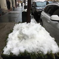 Nice Snow Shot! Dec 2016-Streetzblog